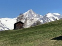IMG_3775