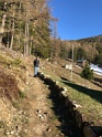 IMG_3894