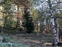 IMG_4734
