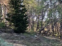 IMG_4737