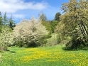 IMG_5223