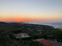 IMG_7156 (1)