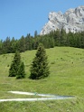 IMG_8273