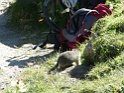 IMG_8587