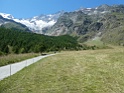 IMG_8649