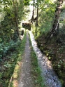 IMG_8455
