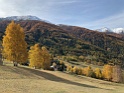 IMG_0709