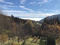 IMG_0790