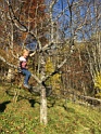 IMG_0806