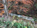 IMG_0858