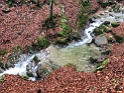IMG_0880
