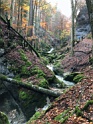 IMG_0885
