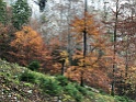 IMG_0907