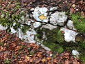 IMG_0919