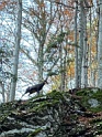 IMG_8626