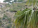 IMG_6924