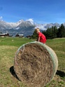 IMG_1917