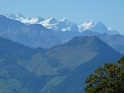 IMG_0739