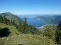 IMG_0743