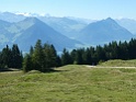 IMG_0770