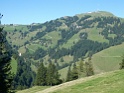 IMG_0797
