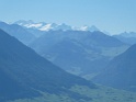 IMG_0805