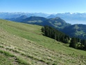 IMG_0886