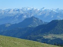 IMG_0887