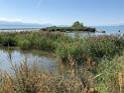 IMG_0011