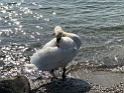 IMG_9886