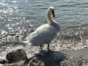 IMG_9887