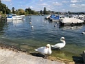 IMG_9940