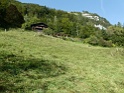 IMG_0947