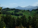 IMG_1038