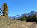 IMG_1621