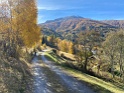 IMG_2650