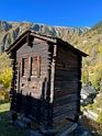 IMG_1490