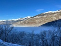 IMG_3239