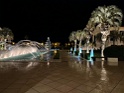 IMG_3887