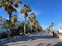 IMG_3965