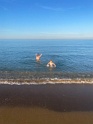 IMG_3330