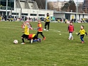 IMG_6113