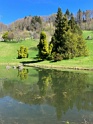 IMG_6506