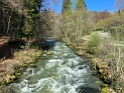 IMG_6516