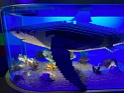 IMG_6763