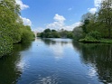 IMG_7313