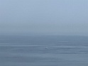 IMG_0774