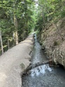 IMG_1839