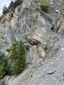 IMG_1906