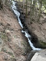 IMG_1916